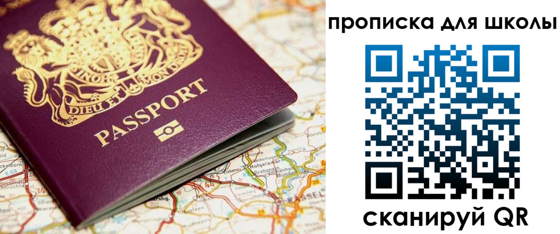 прописка гарантия в Новозыбкове